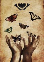 Πίνακας σε καμβά Πεταλούδες Abstract