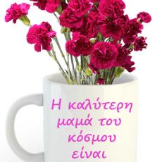 Κούπα με ζωντανό Γαρύφαλλο