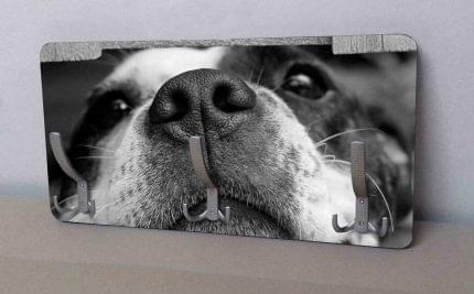 Κρεμάστρα Τοίχου Φίλος