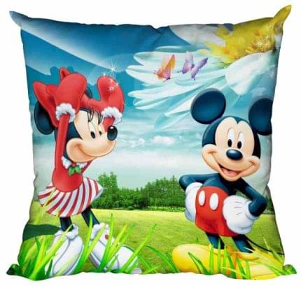 Διακοσμητικό μαξιλάρι Συντροφιά