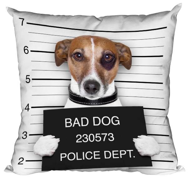 Διακοσμητικό μαξιλάρι Νόμος