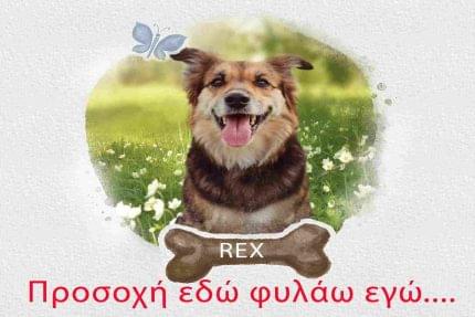 Προειδοποιητική πινακίδα με φωτογραφία σκύλου Β