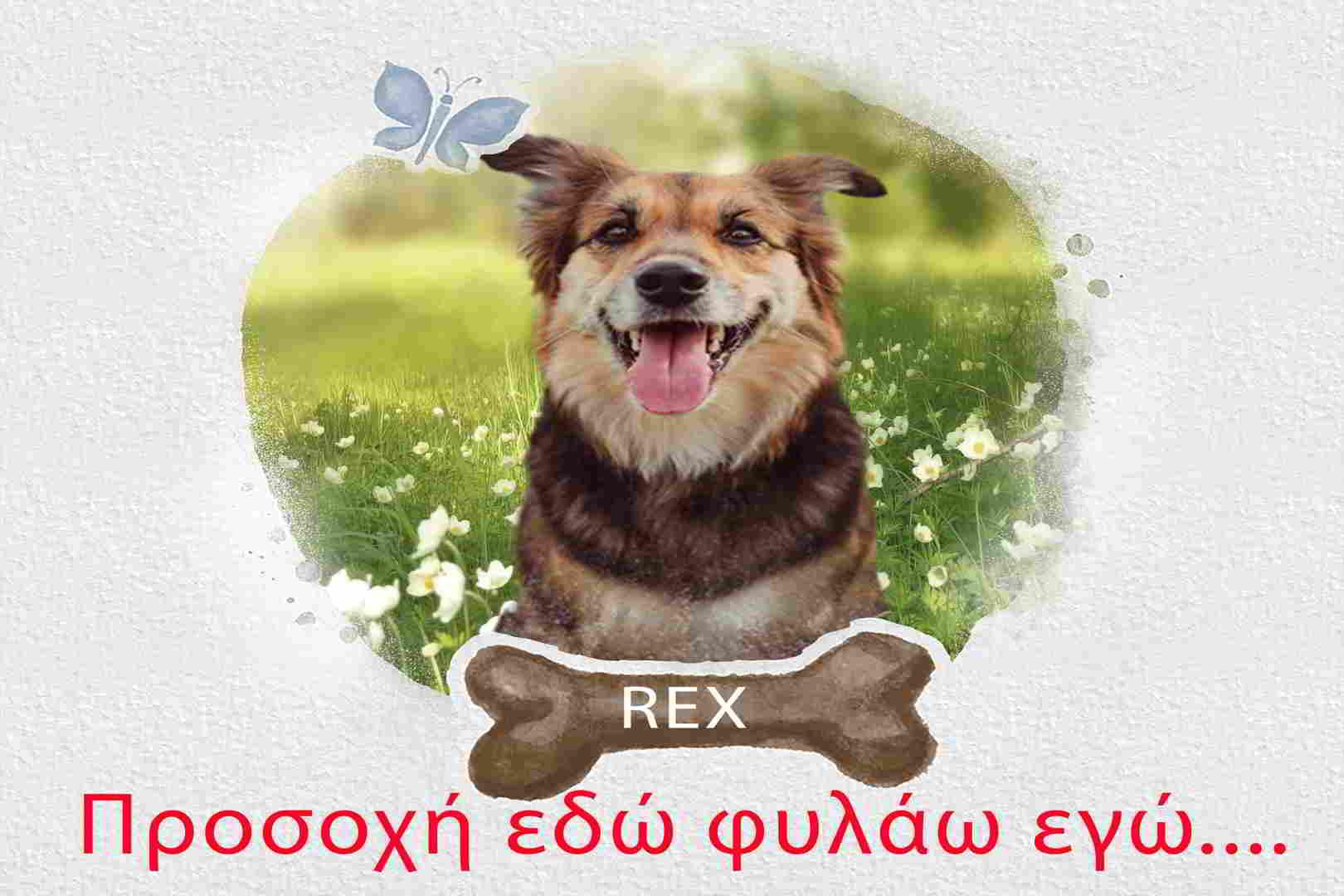 Προειδοποιητική πινακίδα με φωτογραφία σκύλου Β