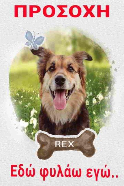 Προειδοποιητική πινακίδα με φωτογραφία σκύλου Γ