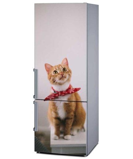 Αυτοκόλλητο Ψυγείου Γάτα