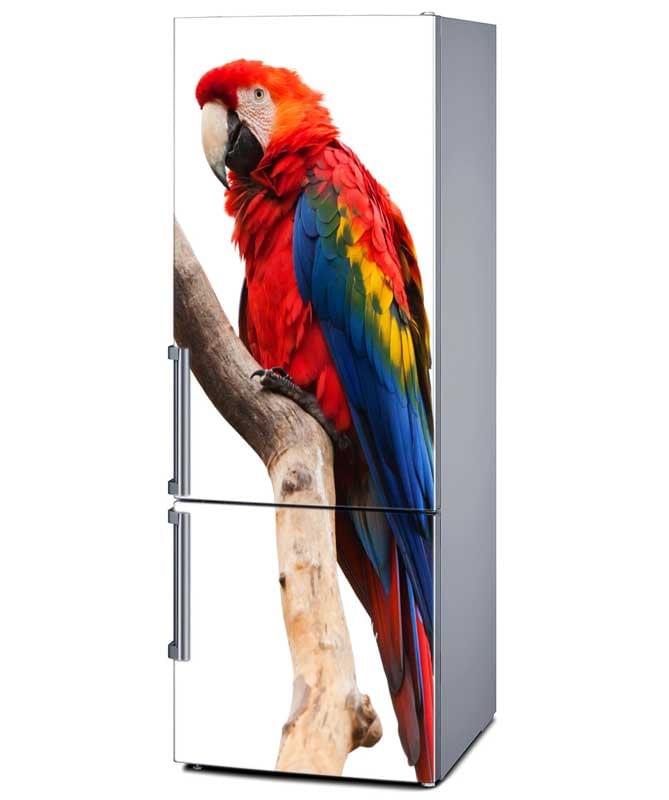 papagalos_kladi_color Αυτοκόλλητο Ψυγείου Παπαγάλος Σε Κλαδί