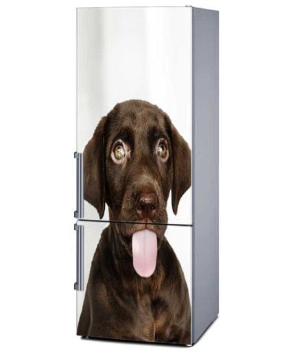 Αυτοκόλλητο Ψυγείου Σκύλος