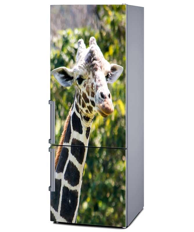 Αυτοκόλλητο Ψυγείου Καμηλοπάρδαλη