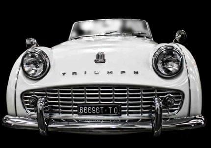 Πίνακας σε καμβά Αντίκα Λευκή