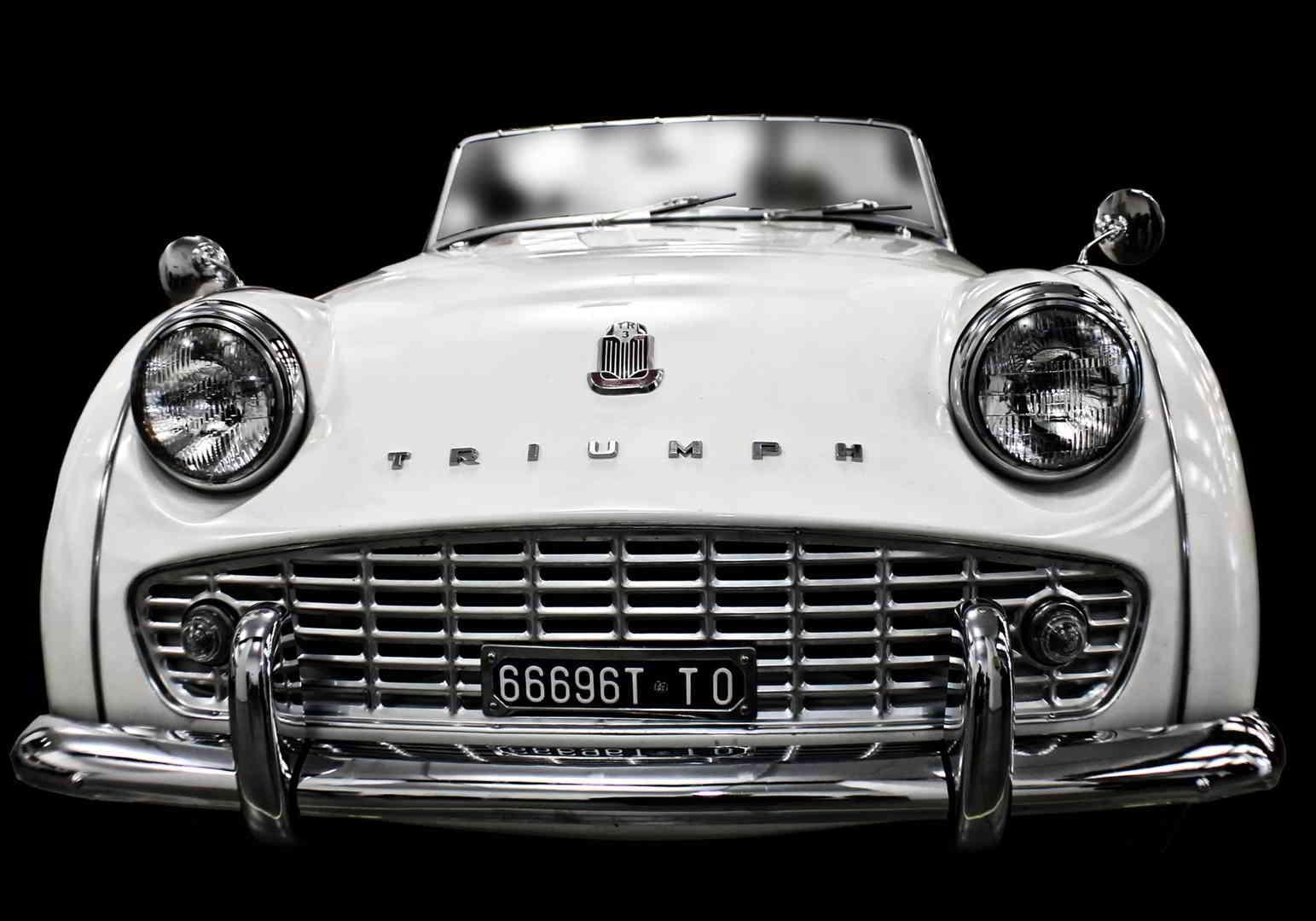 Πίνακας σε καμβά Αντίκα Λευκή