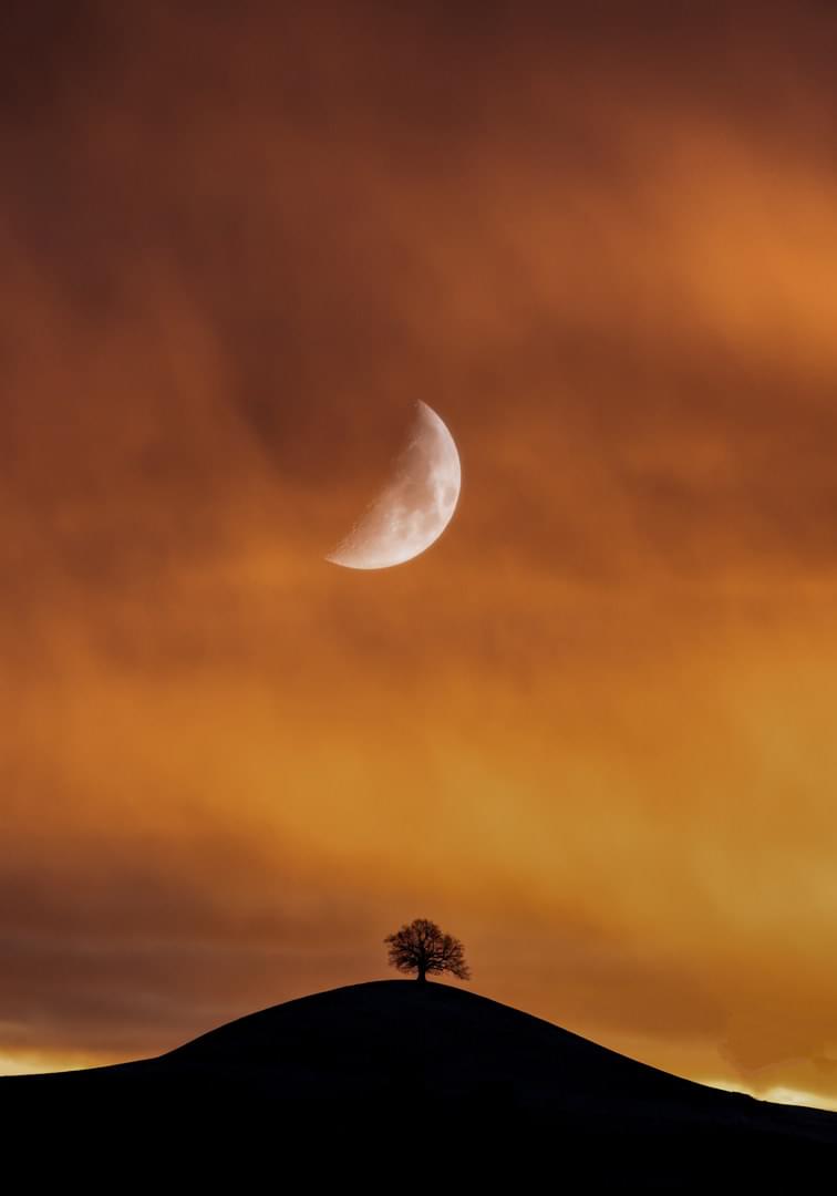 ektyposi_kanvas_me_ksylino_telaro_dentro_kai_feggari Πίνακας σε καμβά Δέντρο και Φεγγάρι