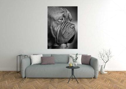 Πίνακας σε καμβά Φίλος