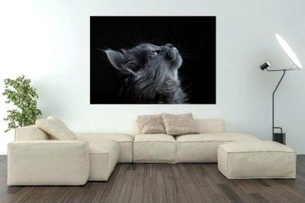 ektyposi_kanvas_me_ksylino_telaro_gata_room