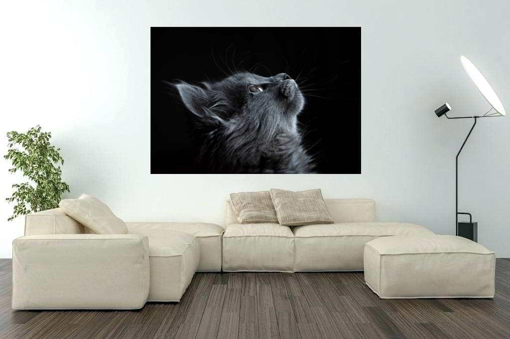 ektyposi_kanvas_me_ksylino_telaro_gata_room