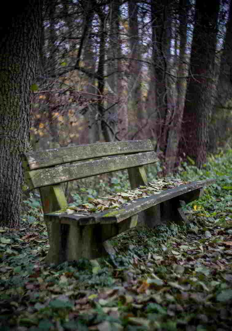 ektyposi_kanvas_me_ksylino_telaro_pagkaki_sto_dasos Πίνακας σε καμβά Παγκάκι στο Δάσος