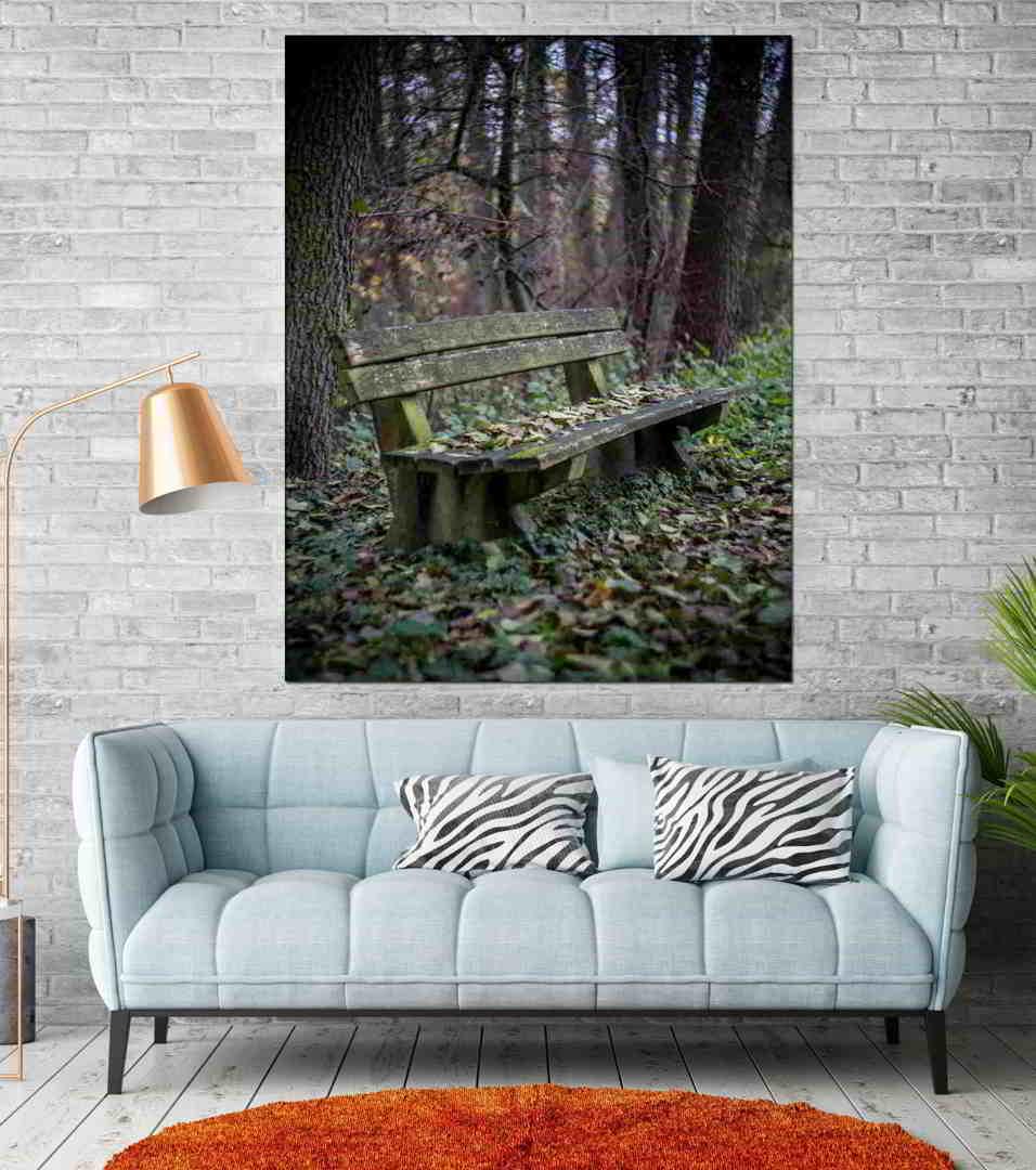 Πίνακας σε καμβά Παγκάκι στο Δάσος