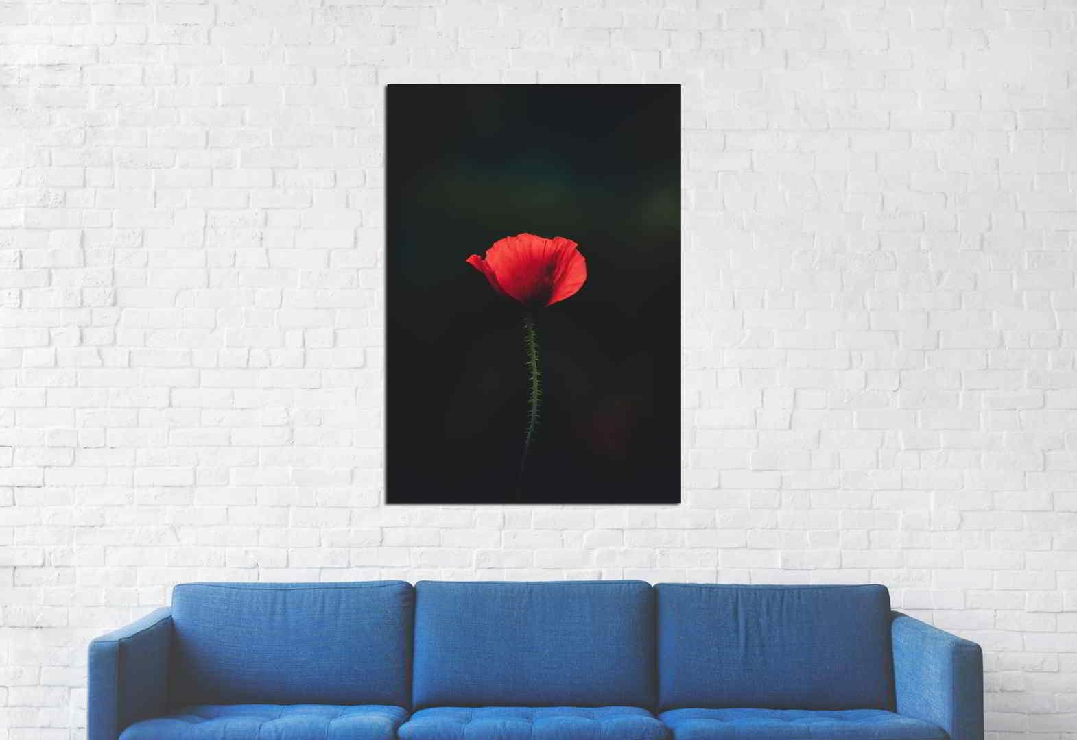 Πίνακας σε καμβά Παπαρούνα