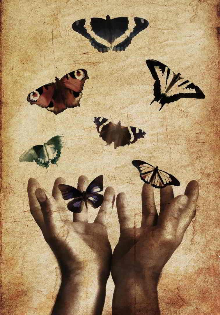 Πίνακας σε καμβά Πεταλούδες Abstract