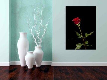 Πίνακας σε καμβά Τριαντάφυλλο στο Σκοτάδι