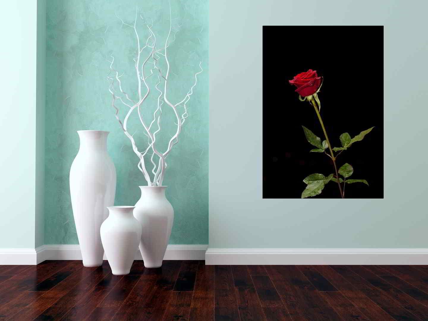 Πίνακας σε καμβά Τριαντάφυλλο στο Σκοτάδι