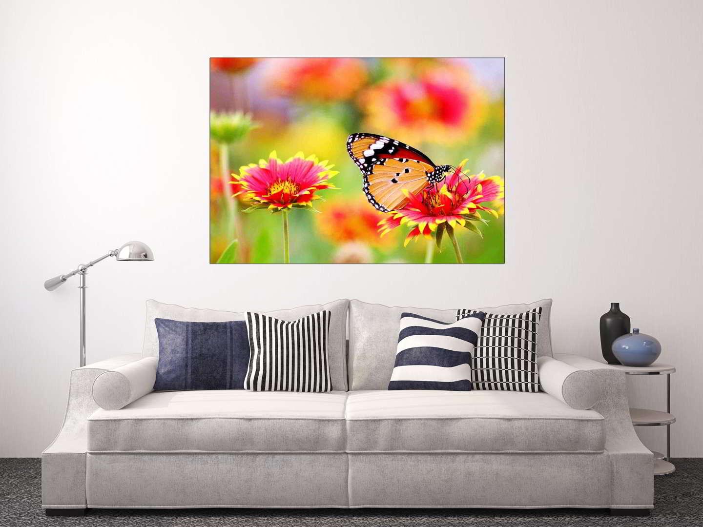 Πίνακας σε καμβά Έκσταση Χρωμάτων