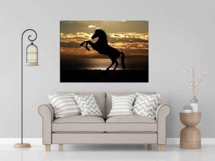 Πίνακας σε καμβά Ηγέτης