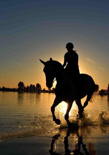 Πίνακας σε καμβά Ιππέας