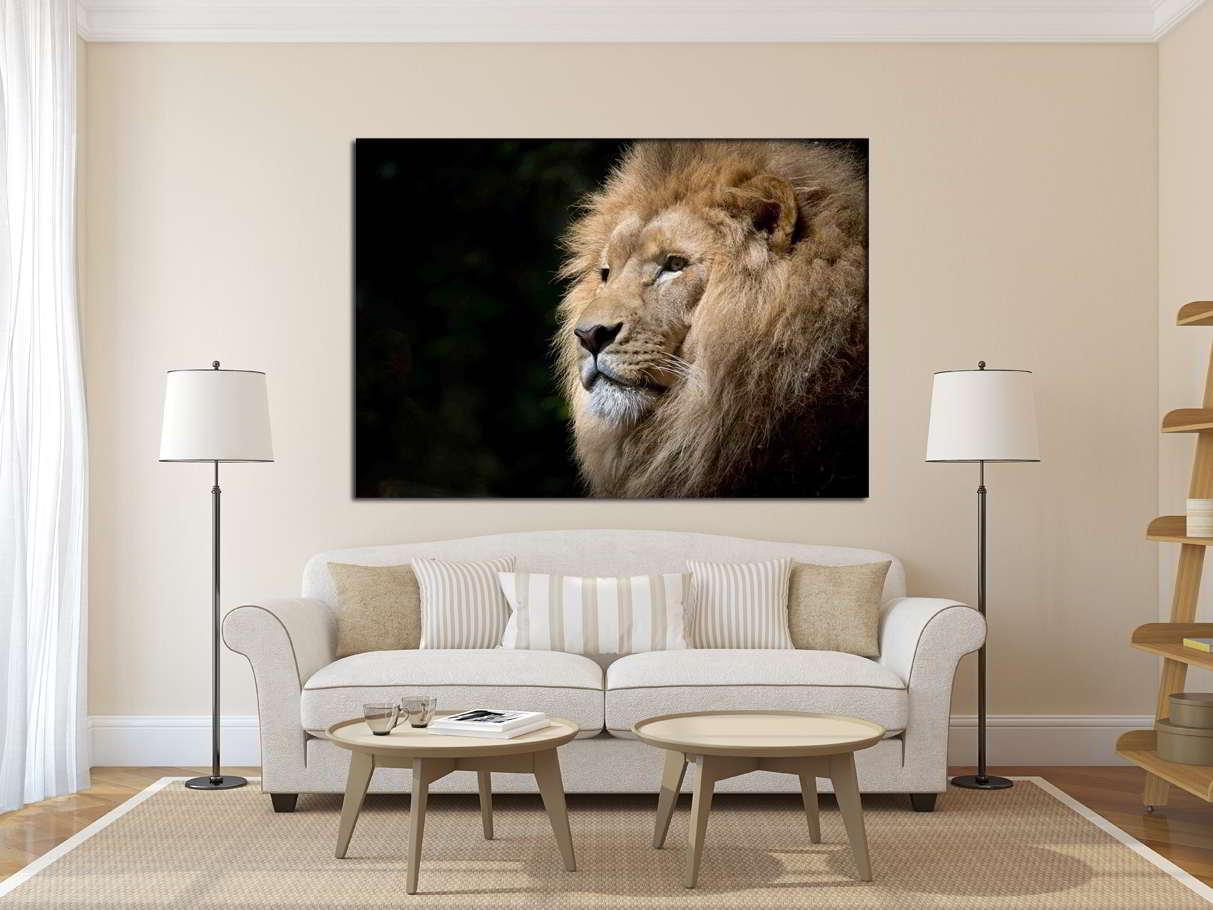 Πίνακας σε καμβά Βασιλιάς