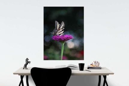 Πίνακας σε καμβά Πεταλούδα