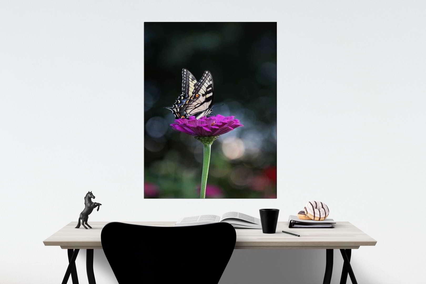 Πίνακας σε καμβά Πεταλούδα