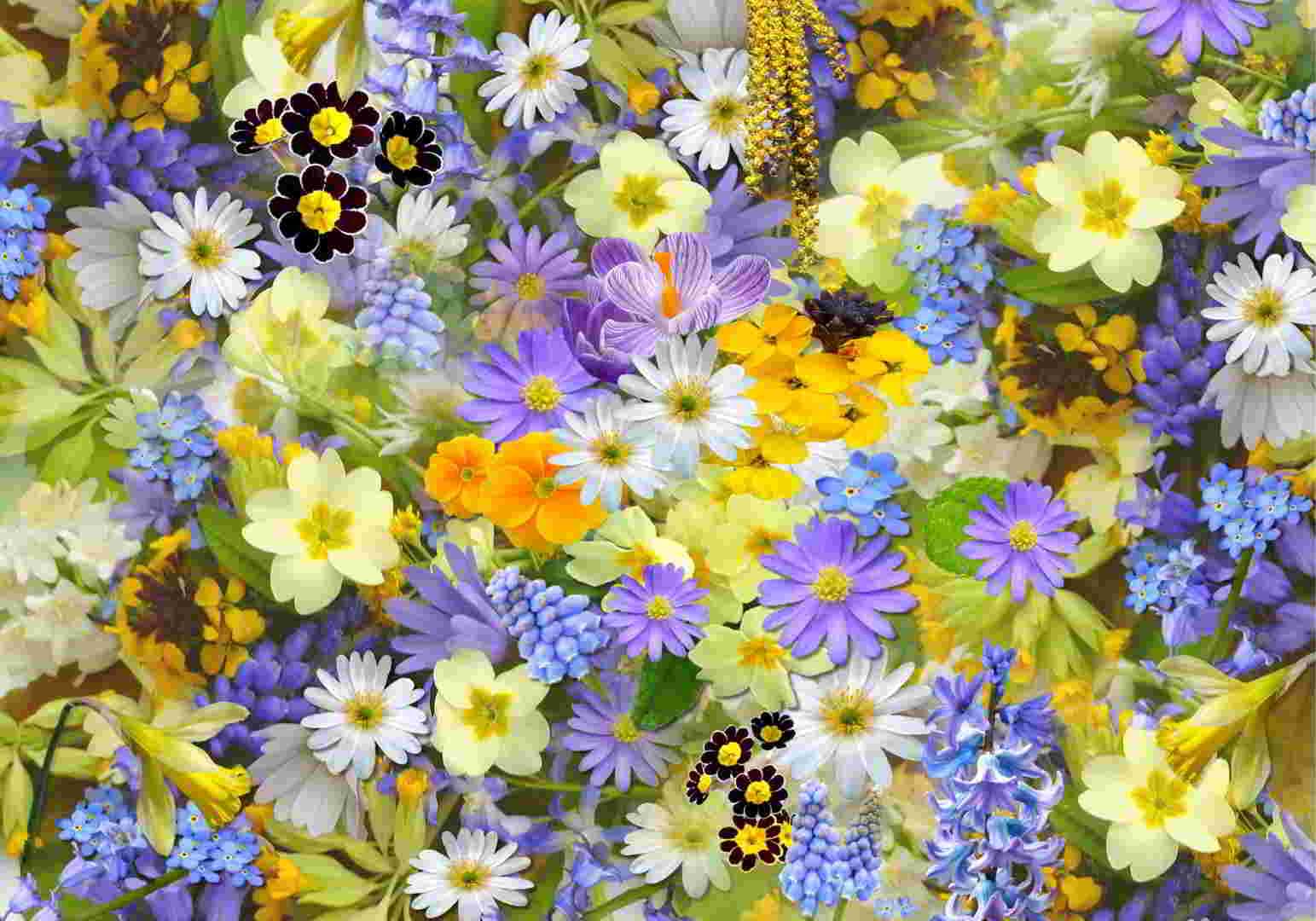 Πίνακας σε καμβά Χρώμα και Ηρεμία