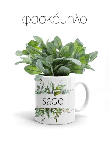 Κούπα με Αρωματικό φυτό Φασκόμηλο