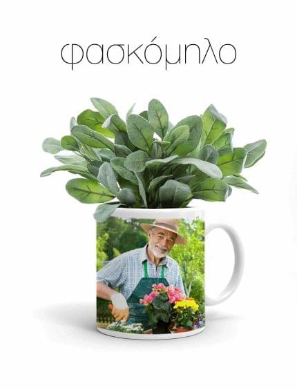 Κούπα με Αρωματικό φυτό Φασκόμηλο