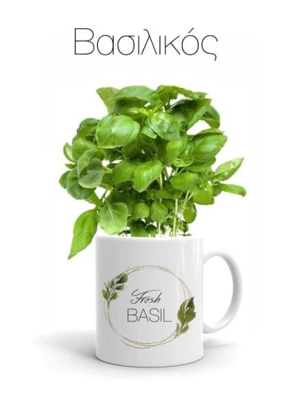 Κούπα με Αρωματικό φυτό Βασιλικός