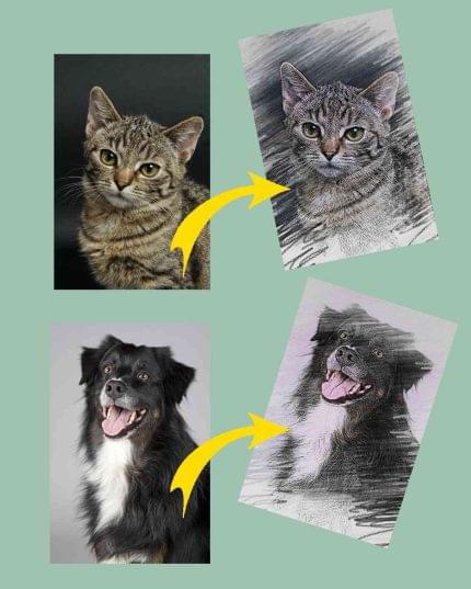 Πορτραίτο κατοικίδιου σε καμβά με τελάρο